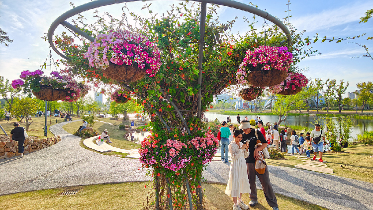 China_further_opens_up_service_sector_to_counter_global_protectionism - My Global News: Young Voices China further opens up service sector to counter global protectionism