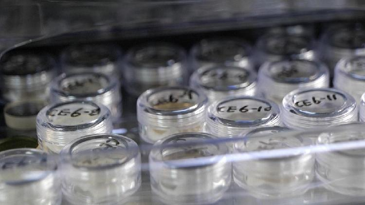 China_opens_lunar_samples_to_US_global_scientists - My Global News: Young Voices China opens lunar samples to U.S., global scientists