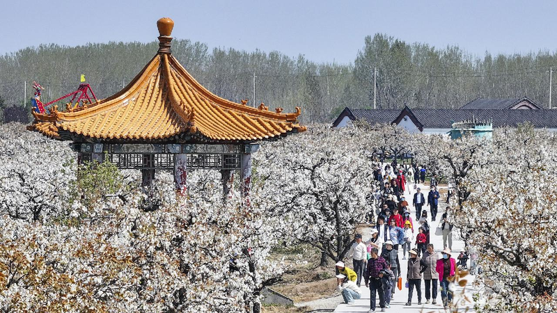 China reports robust travel figures on first day of Qingming holiday