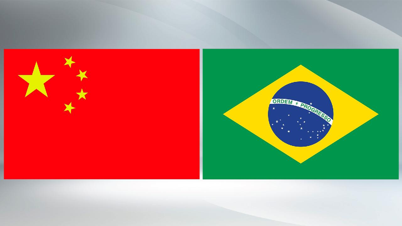 China willing to work with Brazil to address common challenges: FM