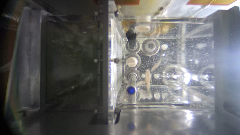 Chinas_Shenzhou-20_crew_to_conduct_three_new_life_science_experiments - My Global News: Young Voices China's Shenzhou-20 crew to conduct three new life science experiments