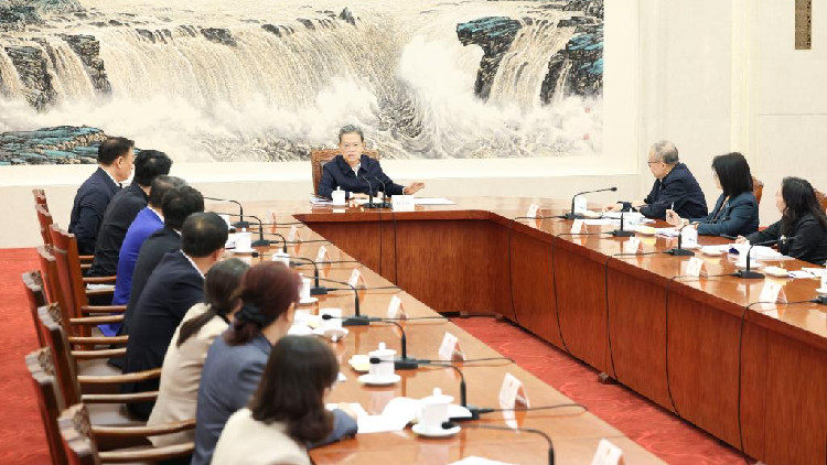 China's top legislator stresses implementation of lawmakers law