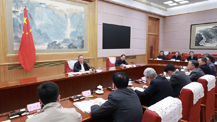 Chinese_premier_chairs_meeting_with_economic_experts_entrepreneurs - My Global News: Young Voices Chinese premier chairs meeting with economic experts, entrepreneurs