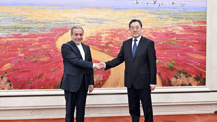 Chinese vice premier meets Iranian foreign minister