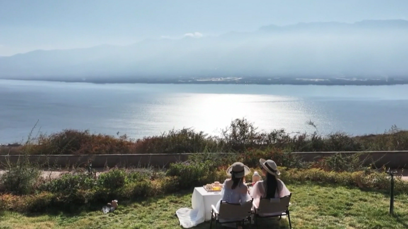 Dali embraces the rise of long-term travel video poster