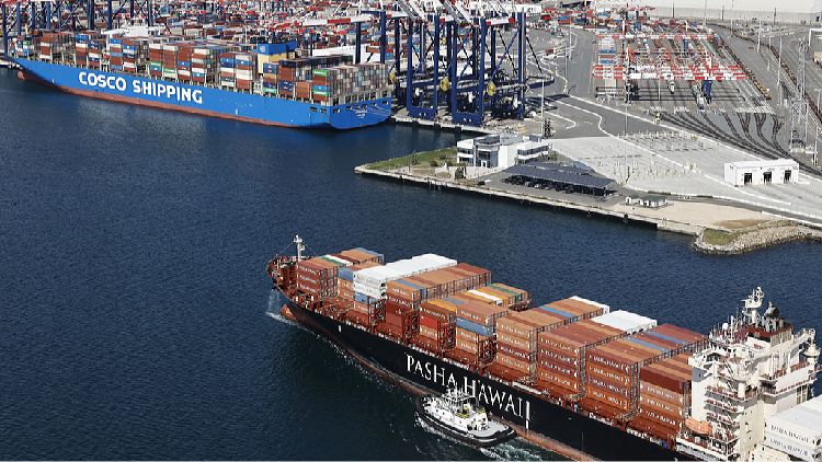 Experts_on_Trumps_tariff_policy_US_is_stoking_international_panic - My Global News: Young Voices Experts on Trump's tariff policy: U.S. is stoking international panic