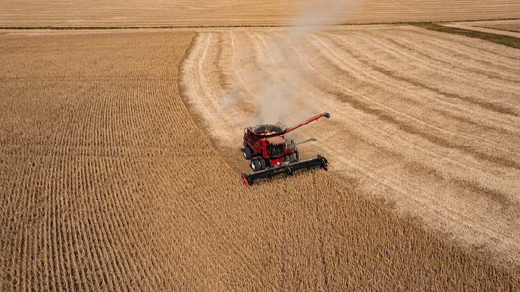 Farmer_who_voted_for_Trump_begs_him_to_end_trade_war - My Global News: Young Voices Farmer who voted for Trump begs him to end trade war