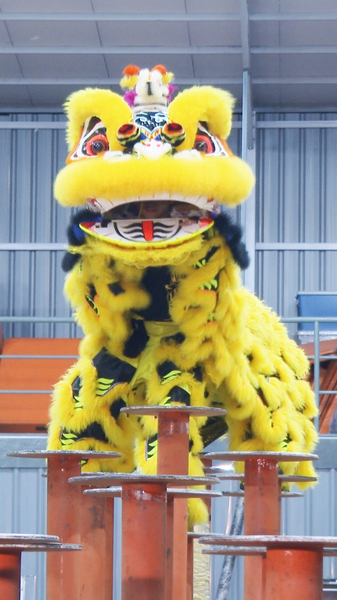 First-person view: soaring through high-pole lion dance video poster