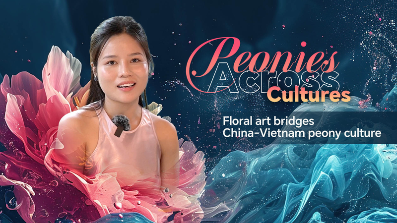 Floral_art_bridges_China-Vietnam_peony_culture_poster - My Global News: Young Voices Floral art bridges China-Vietnam peony culture video poster