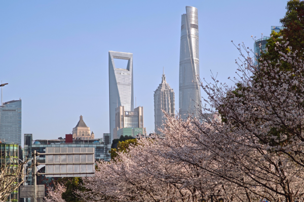 Global Investors Are Excited About China’s Future! π Foreign institutions reinforce confidence in Chinese market