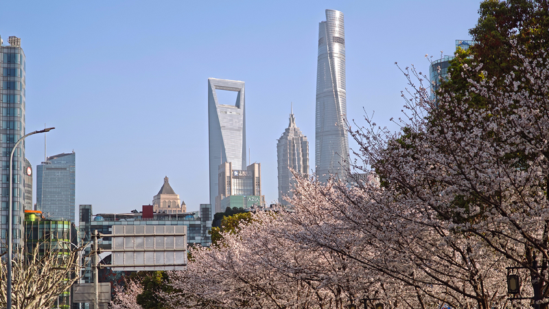 Foreign_institutions_reinforce_confidence_in_Chinese_market - My Global News: Young Voices Foreign institutions reinforce confidence in Chinese market