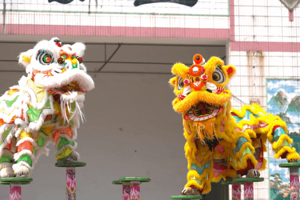 From Tiny Fans to Lion Dance Masters: Kids Keeping the Tradition Alive From tiny fans to lion dance masters video poster