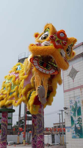 Glow-in-the-dark_lions_poster - My Global News: Young Voices Glow-in-the-dark lions video poster