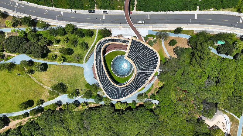 Green harmony: Building a low-carbon future in China