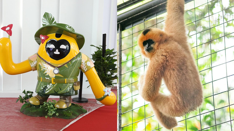 Hainan Expo mascots pay tribute to the island's rainforest protection