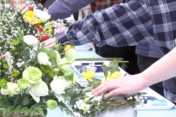 Honoring Life: Hefei’s Eco-Burials Return to Nature ๐ฟ Hefei eco-burials honors life and nature video poster