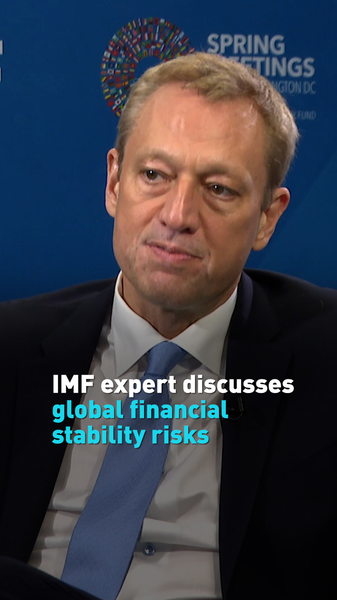 IMF_expert_discusses_global_financial_stability_risks_poster - My Global News: Young Voices IMF expert discusses global financial stability risks video poster