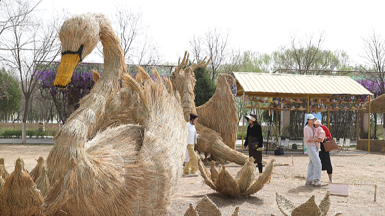 International Scarecrow Art Festival kicks off in Ningxia