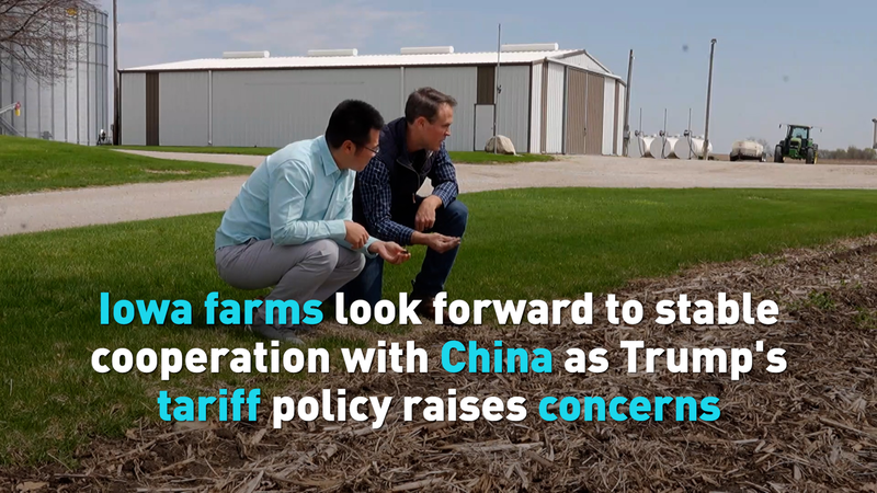 Iowa_farms_look_forward_to_stable_cooperation_with_China_poster - My Global News: Young Voices Iowa farms look forward to stable cooperation with China video poster