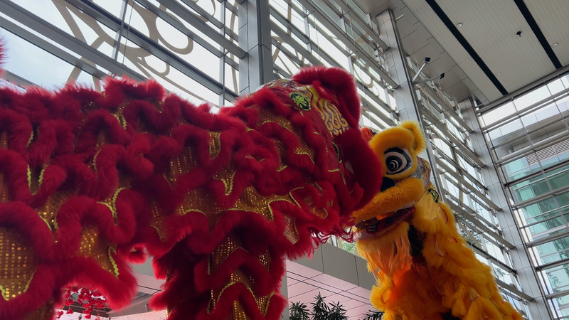 Lion_dance_Uniting_China_and_Malaysia_through_culture_poster - My Global News: Young Voices Lion dance: Uniting China and Malaysia through culture video poster