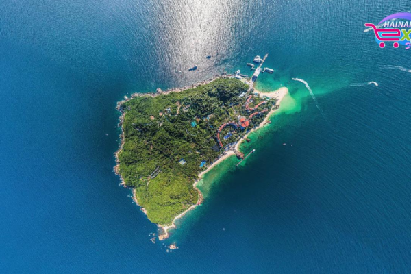 Explore the Underwater Wonders of Wuzhizhou Island! π π Live: Hainan Wuzhizhou Island's mesmerizing ocean wonders β Ep. 2