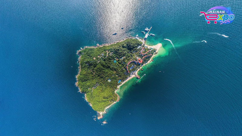 Live: Hainan Wuzhizhou Island's mesmerizing ocean wonders – Ep. 2