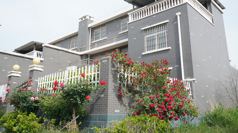 Madu_Village_by_the_Yellow_River_shines_with_rural_renewal - My Global News: Young Voices Madu Village by the Yellow River shines with rural renewal