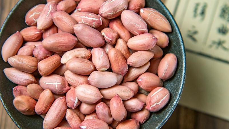 Giant Peanuts Ahead: New Discovery Could Boost Peanut Sizes! New genetic breakthrough promises larger peanut yields