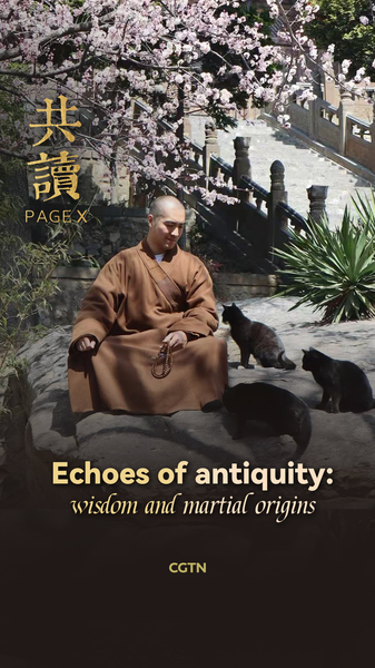 PAGE X: The value of mindful reading video poster