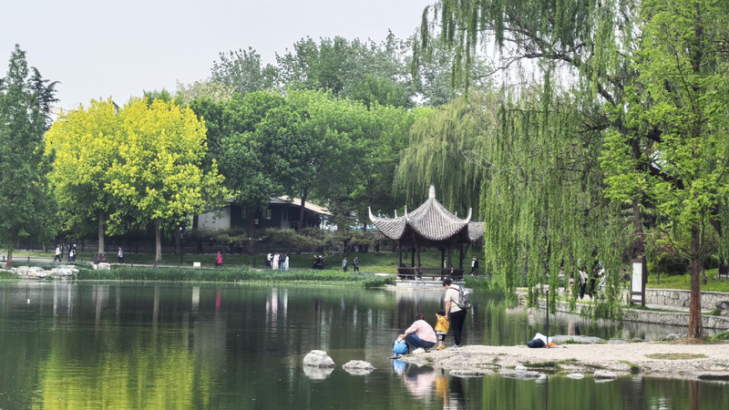Park healing guide: Famous Chinese pavilions in Taoranting Park