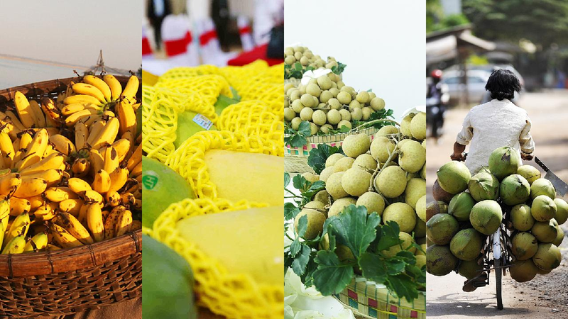 Popularity of Cambodian fruit in China highlights growing ties