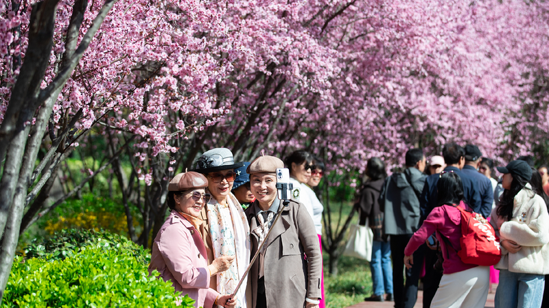 Qingming Festival: New consumption frontiers energize China's market