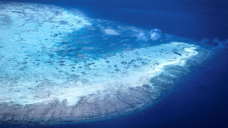 Scientists_report_sixth_mass_bleaching_event_on_Great_Barrier_Reef - My Global News: Young Voices Scientists report sixth mass bleaching event on Great Barrier Reef
