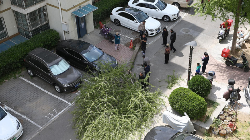 Severe_winds_wreak_havoc_across_N_China_disrupting_travel_and_tourism - My Global News: Young Voices Severe winds wreak havoc across N China, disrupting travel and tourism