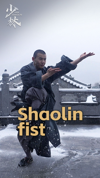 Shaolin Kung Fu: Fists fly, blades dance video poster