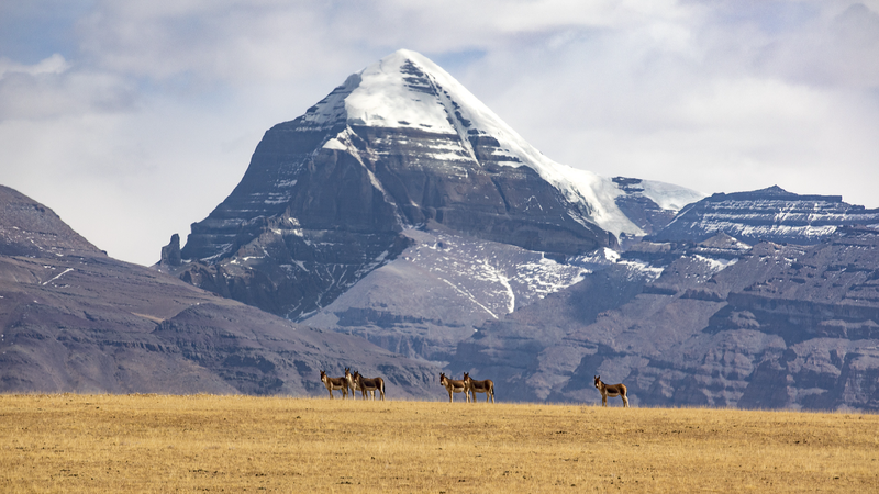 Spokesperson_China_India_resume_Xizang_pilgrimages - My Global News: Young Voices Spokesperson: China, India resume Xizang pilgrimages