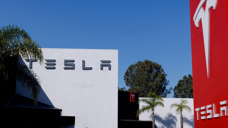 Tesla sales drop 13% as Musk backlash grows video poster