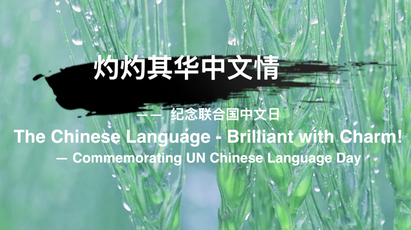 The_Chinese_Language_-_Brilliant_with_Charm_poster - My Global News: Young Voices "The Chinese Language - Brilliant with Charm!" video poster