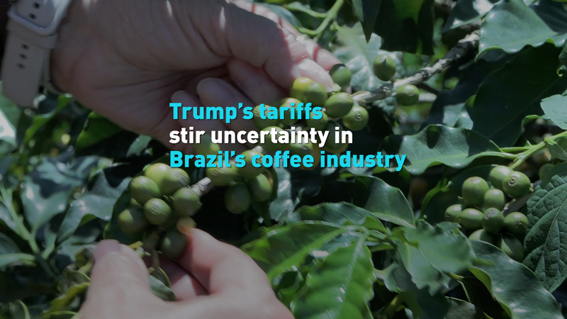 Trump’s tariffs stir uncertainty in Brazil’s coffee industry video poster