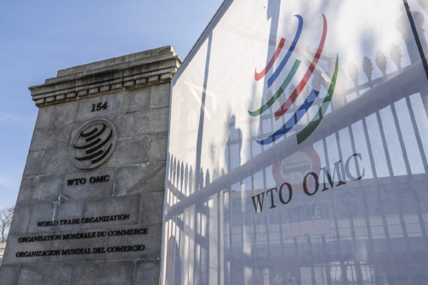 ๐จ WTO Hosts Special Talks to Fix Trade Troubles Around the World! ๐ WTO to hold informal consultations on impact of trade tensions