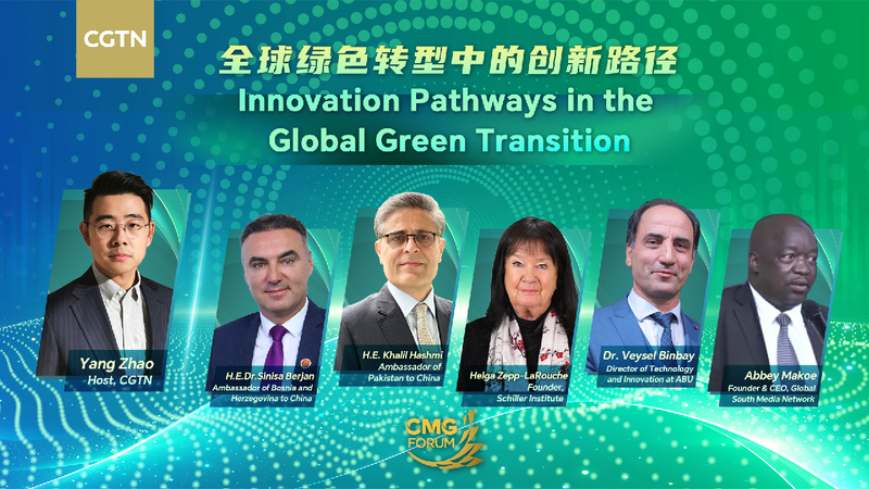 Watch: Innovation pathways in the global green transition