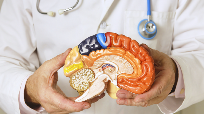 World Parkinson's Day: A quick guide to Parkinson's