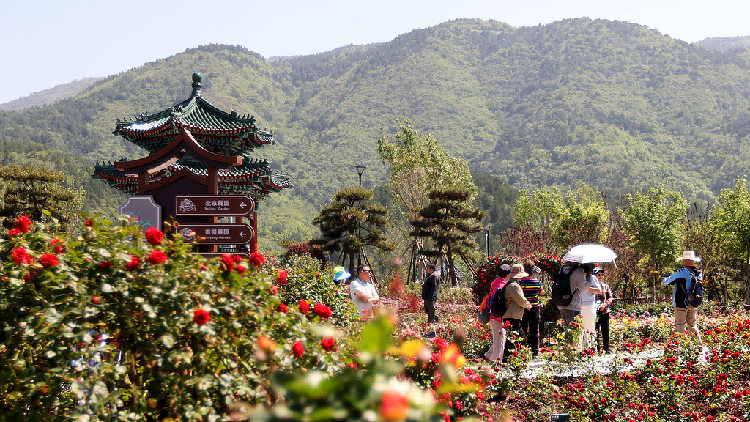 AI services and flower products promote local tourism in Beijing