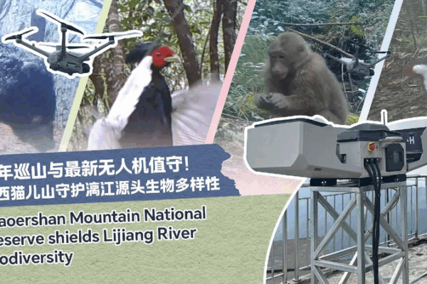 A Ranger’s Farewell: Wang’s Journey Through Mao’er Mountain ๐๏ธ๐ฒ A veteran ranger's farewell to Mao'er Mountain in Guilin