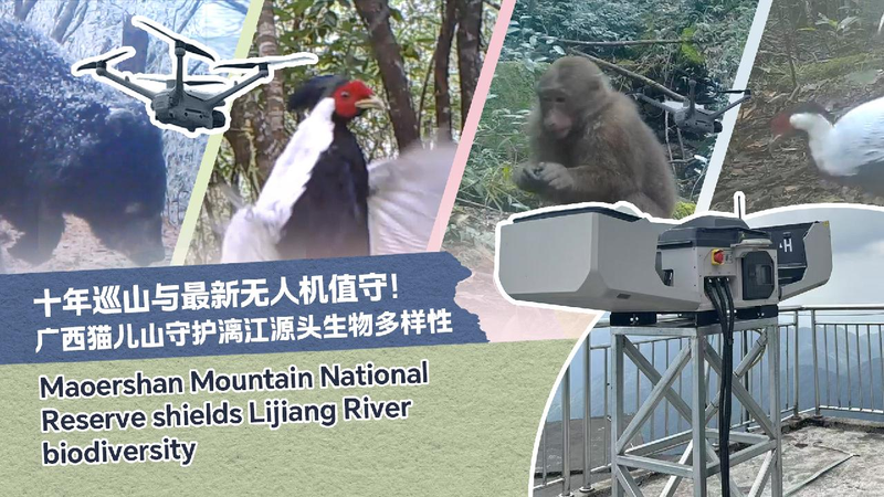 A_veteran_rangers_farewell_to_Maoer_Mountain_in_Guilin - My Global News: Young Voices A veteran ranger's farewell to Mao'er Mountain in Guilin