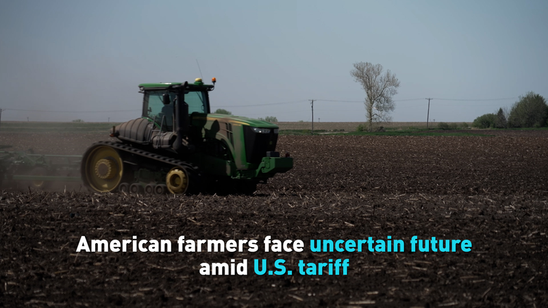 American_farmers_face_uncertain_future_amid_US_tariff_poster - My Global News: Young Voices American farmers face uncertain future amid U.S. tariff video poster