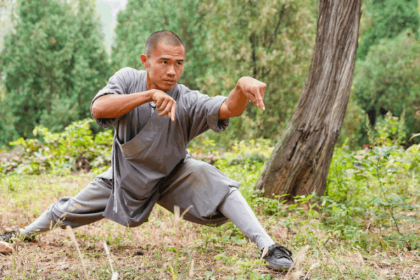 Animal-Style Kung Fu: Nature’s Power in Martial Arts Animal-imitation boxing embodies China's martial wisdom