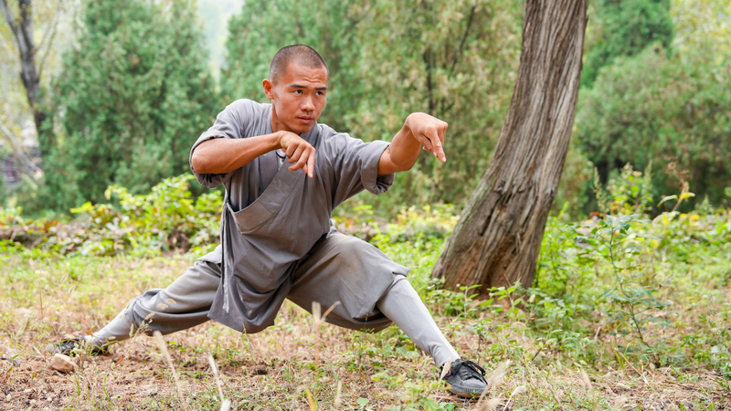 Animal-imitation boxing embodies China's martial wisdom