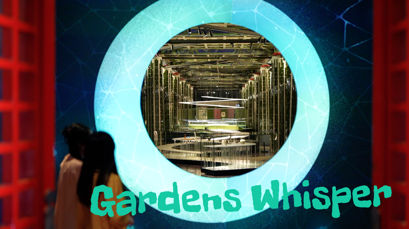 Discover How Gardens Inspire Art at Beijing’s Palace Museum! Beijing exhibition explores gardens as muse of humanity video poster