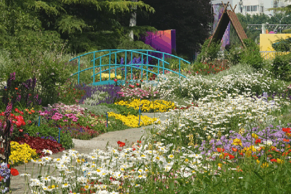 Beijing’s Haidian Park Transforms into a Living Monet Painting! ๐จ๐ธ Beijing park transformed into a living Monet painting